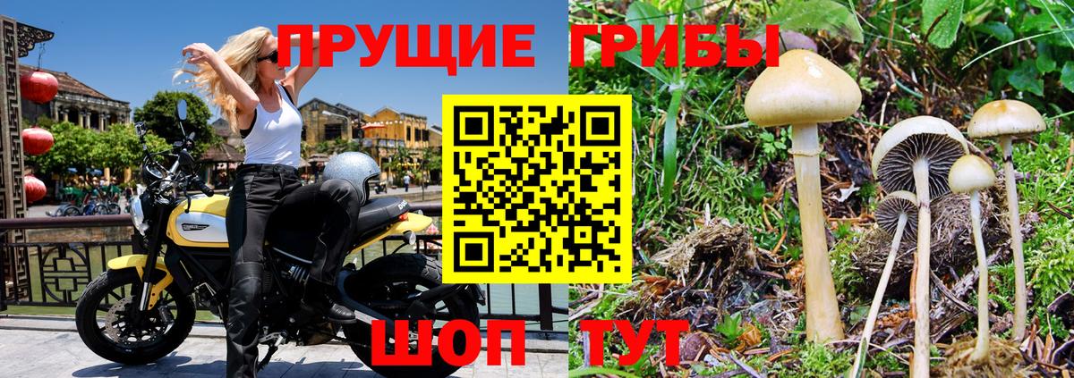 Ялуторовск  Псилоцибиновые грибы мицелий  Вход с VPN 